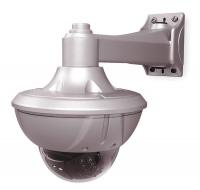 1YUE1 Camera, CCTV Dome, Color, 4 to 9mm Lens