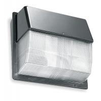 3YA81 Wall Pack W/Lamp