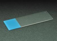 20F850 Microscope Slide, Blue, Colorfrost+, PK 72