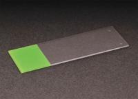 20F851 Microscope Slide, Prem, White Frost, PK 72