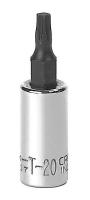 20J685 Socket, Torx Bit, 1/4 In Dr, T20