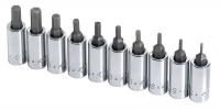 20K436 Hex Bit Socket Set, 1/4 Dr, SAE, Std, 10 Pc