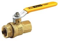 20K916 Brass Ball Valve, Inline, FNPT, 2-1/2 In