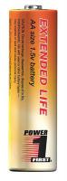 20V848 Extended Life Battery, Alkaline, AA, PK 24