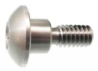 20X963 Architectural Bolt, SS, Button, 3/8x1/2In