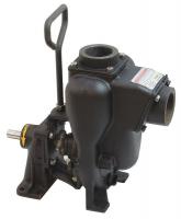 21C983 Centrifugal Pedestal Pump Head, 2 In., CI