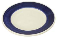 21D849 Plate, 9 In., White/Blue, PK 24