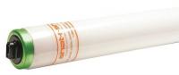 21EK75 Fluorescent Lamp, T12, R17d, ShatterRstnt