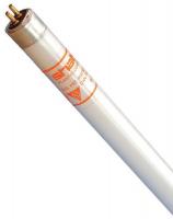 21GP79 Fluorescent Lamp, T5, 54W, 4100K, Shtr Rstnt