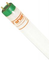 21GP84 Fluorescent Lamp, T8, 32W, 5000K, Shtr Rstnt