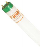 21GP86 Fluorescent Lamp, T8, 28W, 5000K, Shtr Rstnt