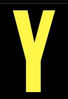 21JU60 Letter Label, Y, Yellow/Black