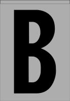 21KE46 Letter Label, B, Black/Silver, PK 5