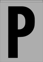 21KE60 Letter Label, P, Black/Silver, PK 5