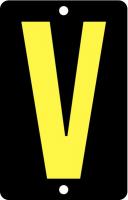 21KJ72 Letter Card, V, 2In, Blk/Slvr, PK 25