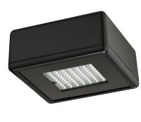 21P659 Garage Light, LED, 58W