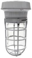 21R879 Vapor Tight Fixture, 100W, MH, Pendant