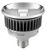 21U013 LED Lamp, PAR30, 300L, 10W, 2800K