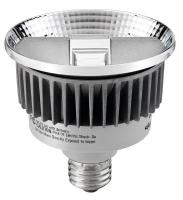 21U014 LED Lamp, PAR30, 530L, 15W, 2800K