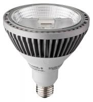 21U019 LED Lamp, PAR38, 1200L, 20W, 2800K