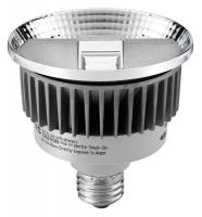 21U029 LED Lamp, PAR30, 530L, 15W, 4000K