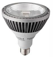 21U030 LED Lamp, PAR38, 600L, 15W, 4000K