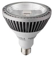 21U031 LED Lamp, PAR38, 1200L, 20W, 4000K