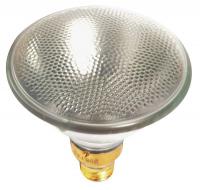 21VN25 Tuffskin Flood Lamp, 100W, 130V