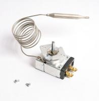 21VP71 Thermostat