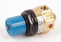 21WD56 Pressure Regulator 0 to 100 psi