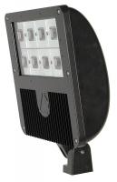 21YH25 Flood Light, Bronze, 9700L, 4000K