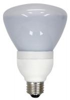 22EM04 Screw-In CFL, R30