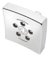 22FD99 Showerhead, Wall Mount, Polished Chrome