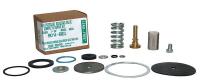 22N579 Repair Kit, 1-1/4 In, Use w/22N573