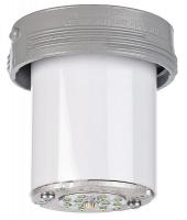 7AY46 Haz Loc Fixt, 13W LED, Ceiling, 1/2In, Poly