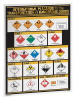 23J572 GHS Placard Reference Chart (18x24)