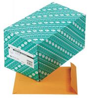 23K953 Catalog Envelope, Lt Brown, Kraft, PK 250
