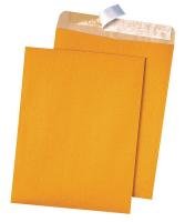 23L027 Catalog Envelope, Lt Brown, Kraft, PK 100