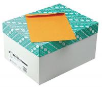 23L093 Catalog Envelope, Light Brown, Kraft, PK500