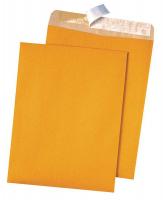 23L132 Catalog Envelope, Lt Brown, Kraft, PK 100