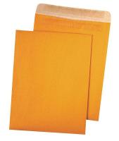 23L145 Catalog Envelope, Lt Brown, Kraft, PK 100