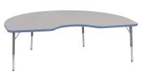 23L824 Activity Table, Kidney, Gray Nebula