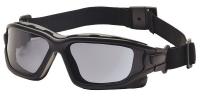 23Y599 Dual Pane Goggle, Gray Lens, Antifog