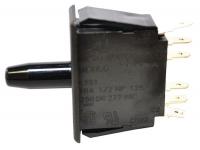 24A124 Pnl Mt Switch, 10A, DPDT, Bullet Nose Plngr