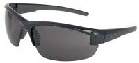 24C269 Safety Glasses, Gray, Antifog