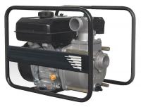 24D038 Semi-Trash Pump, 2In NPT, 6 HP