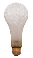 24W610 Incandescent Lamp, Safety Coated, A23, 150W