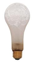 24W611 Incandescent Lamp, SafetyCoated, PS25, 200W