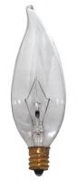 24W619 Incandescent Lamp, B10, 40W