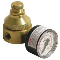 26X147 Pressure Regulator, 1/4 In, 0 to 125 psi